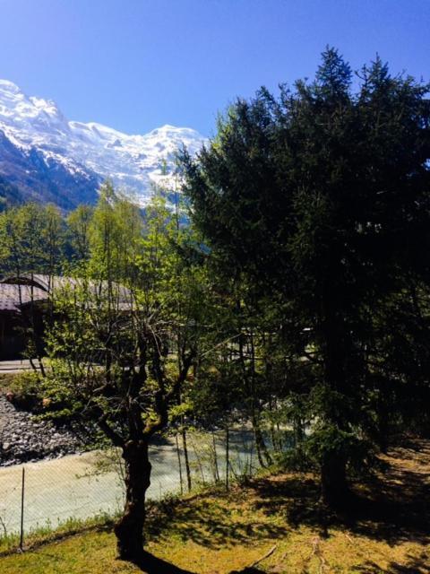 Studio Lumineux Avec Vue Sur Le Massif Du Mont-Blanc Chamonix ภายนอก รูปภาพ